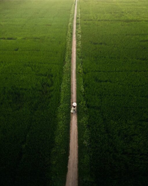 Synes du, at vejen til butikken er lang?🚲
Husk, at du hos altanshop.dk kan få dine varer leveret omhyggeligt, uden ekstra omkostninger.💸
Intet mere besvær
- uanset om det er et lille bord eller et helt loungesæt: vi hjælper dig💚
https://altanshop.dk
#altan #altanmøbler #gratisfragt #frilevering #hygge